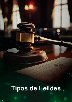Tipos Leilões (1)